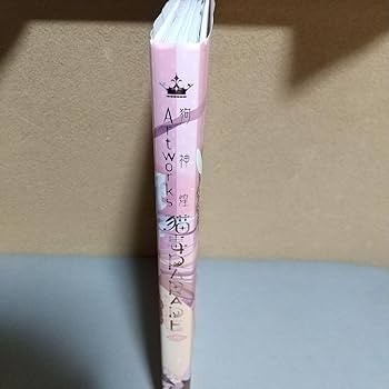 Amazon.co.jp: 狗神煌Artworks 猫毒PARADE 限定版 : おもちゃ
